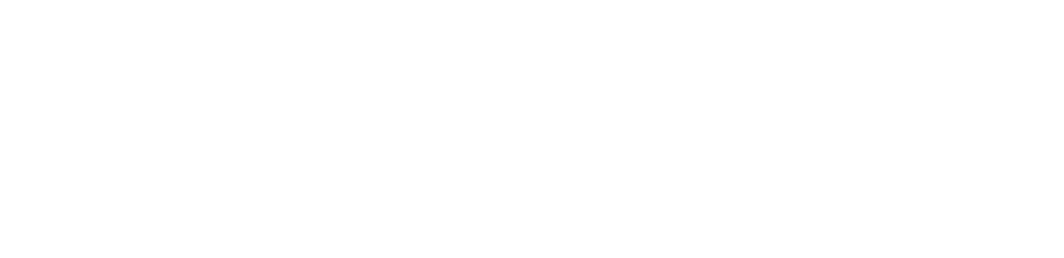 The FELIX Project Logo